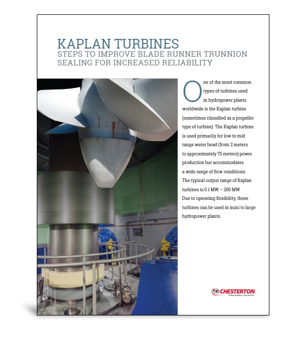 Kaplan runner picture